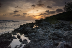 54744add3689a8f1-scaledjpg-294x211-1